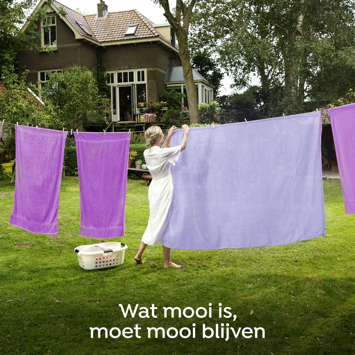 Robijn Creations Paarse Orchidee & Bosbessen Wasverzachter - 8 X 30 Wasbeurten - Voordeelverpakking - Afbeelding 7